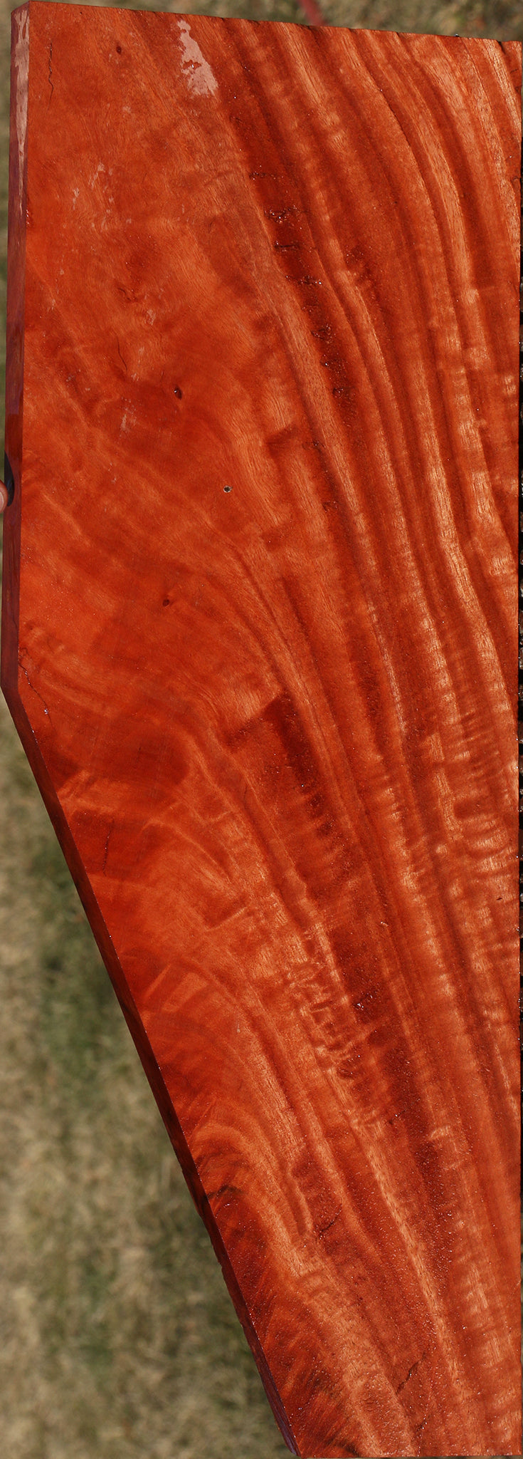 Extra Fancy Crotchwood Red Ironbark Lumber