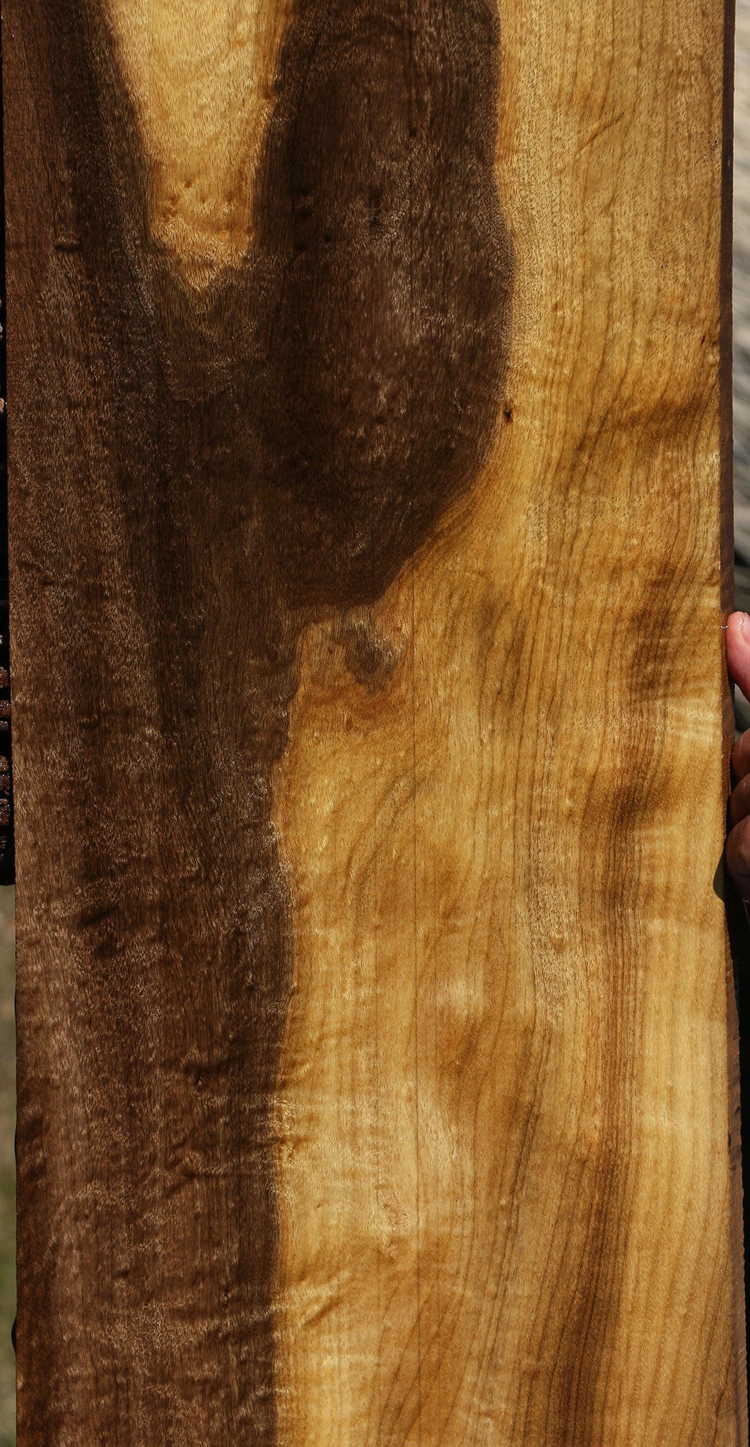 Figured Gold Myrtle Instrument Lumber