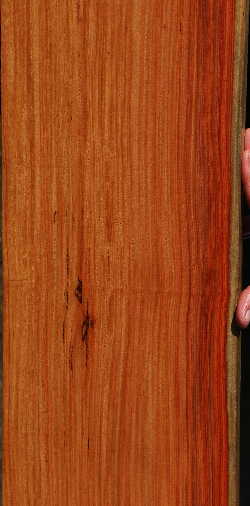 Quartersawn Pau Rosa Lumber