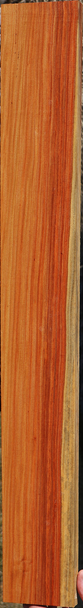 Pau Rosa Instrument Lumber