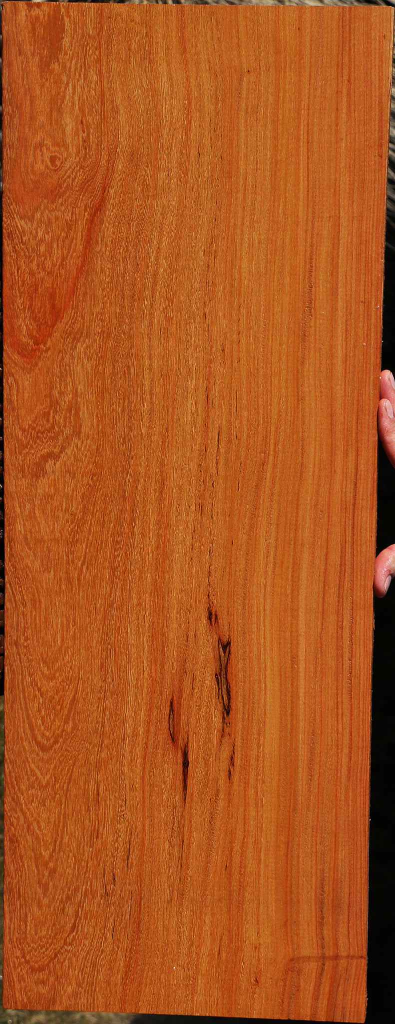 Pau Rosa Instrument Lumber