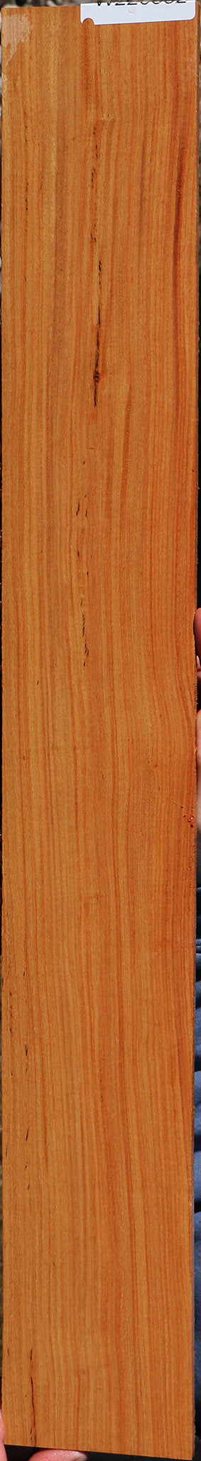 Pau Rosa Micro Lumber