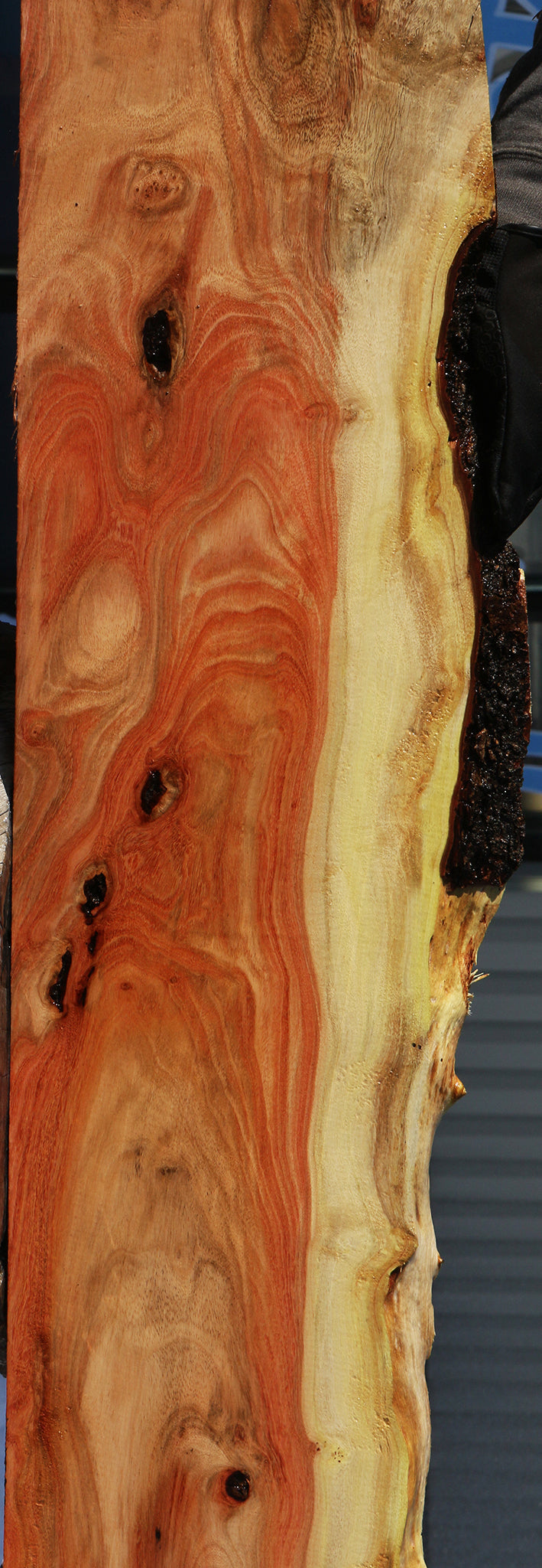 Carob Live Edge Lumber