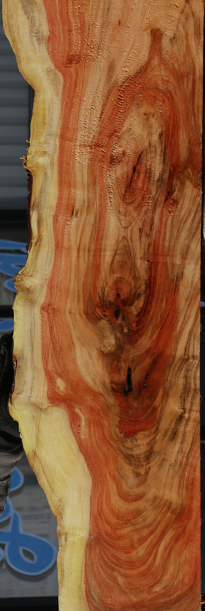 Carob Live Edge Lumber