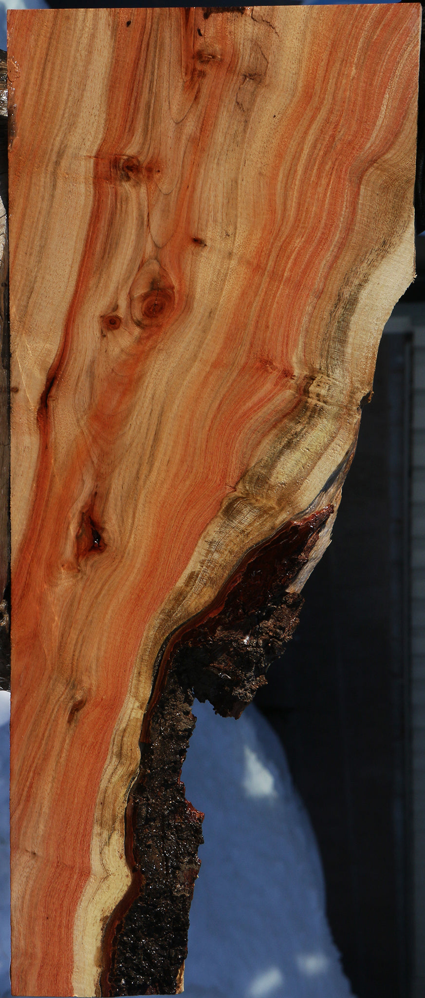 Carob Live Edge Lumber