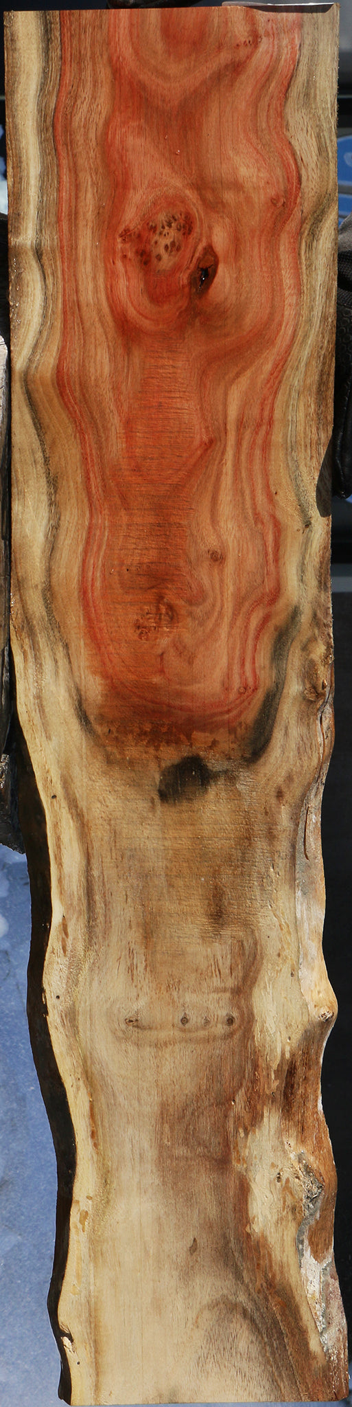 Carob Live Edge Micro Lumber