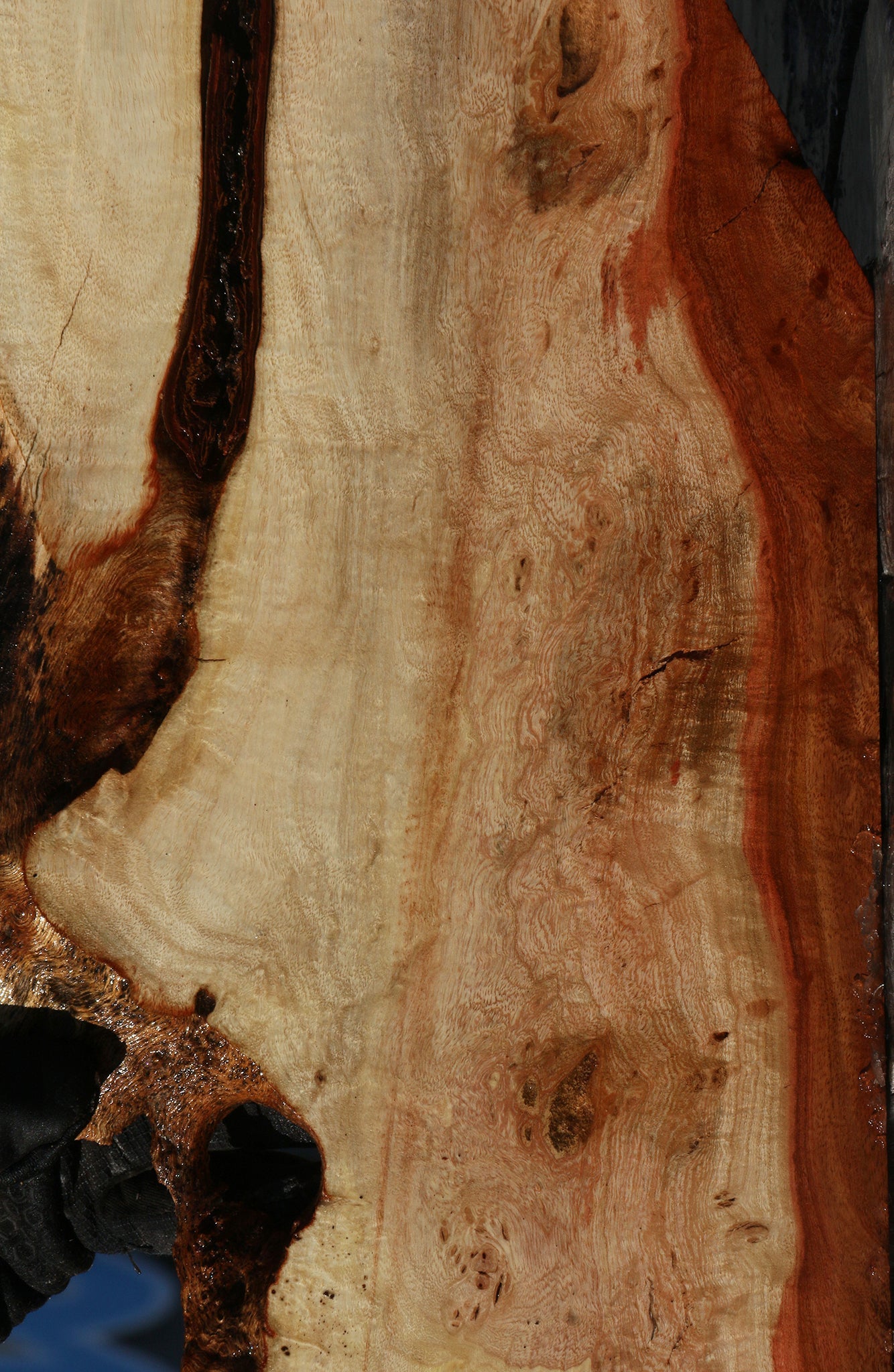 Carob Live Edge Lumber