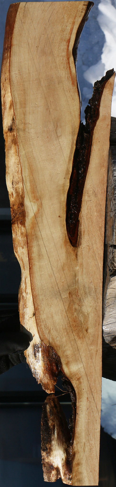 Carob Live Edge Lumber