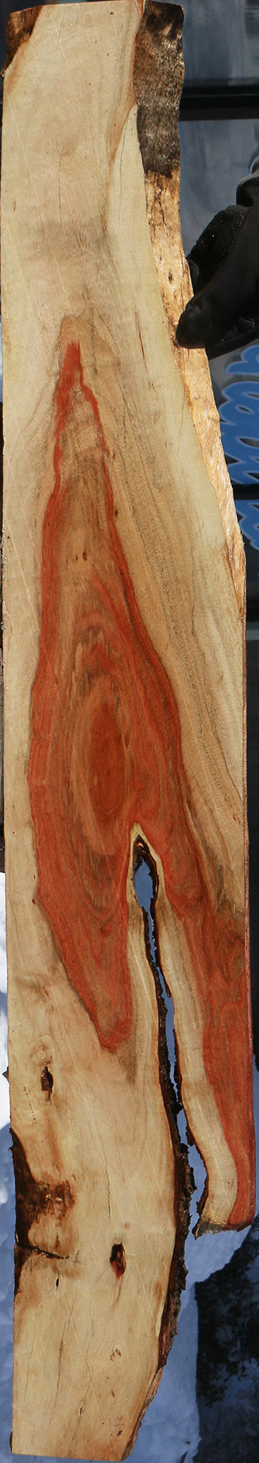 Carob Live Edge Lumber
