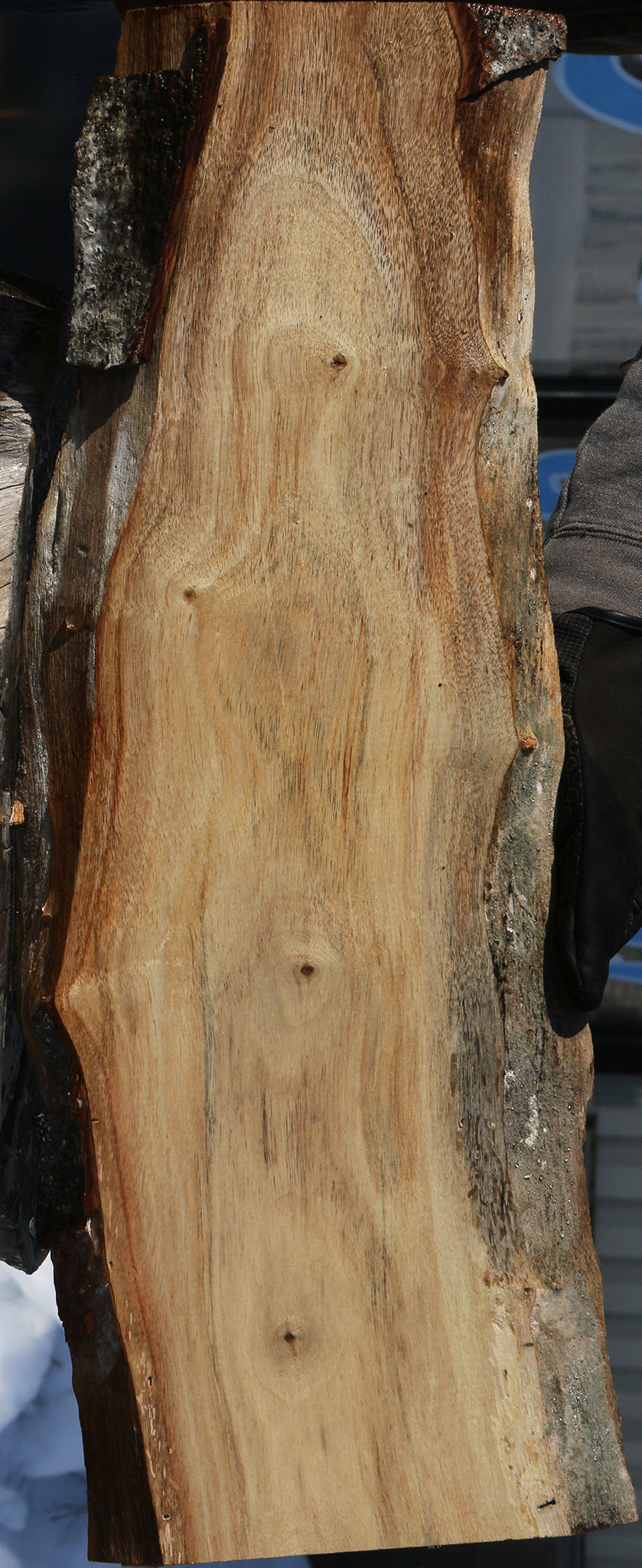 Carob Live Edge Lumber