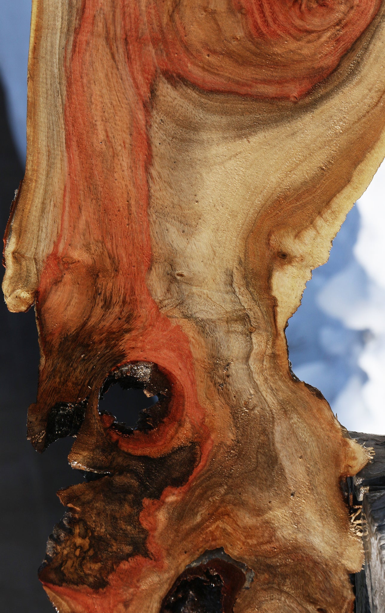 Rustic Carob Live Edge Lumber