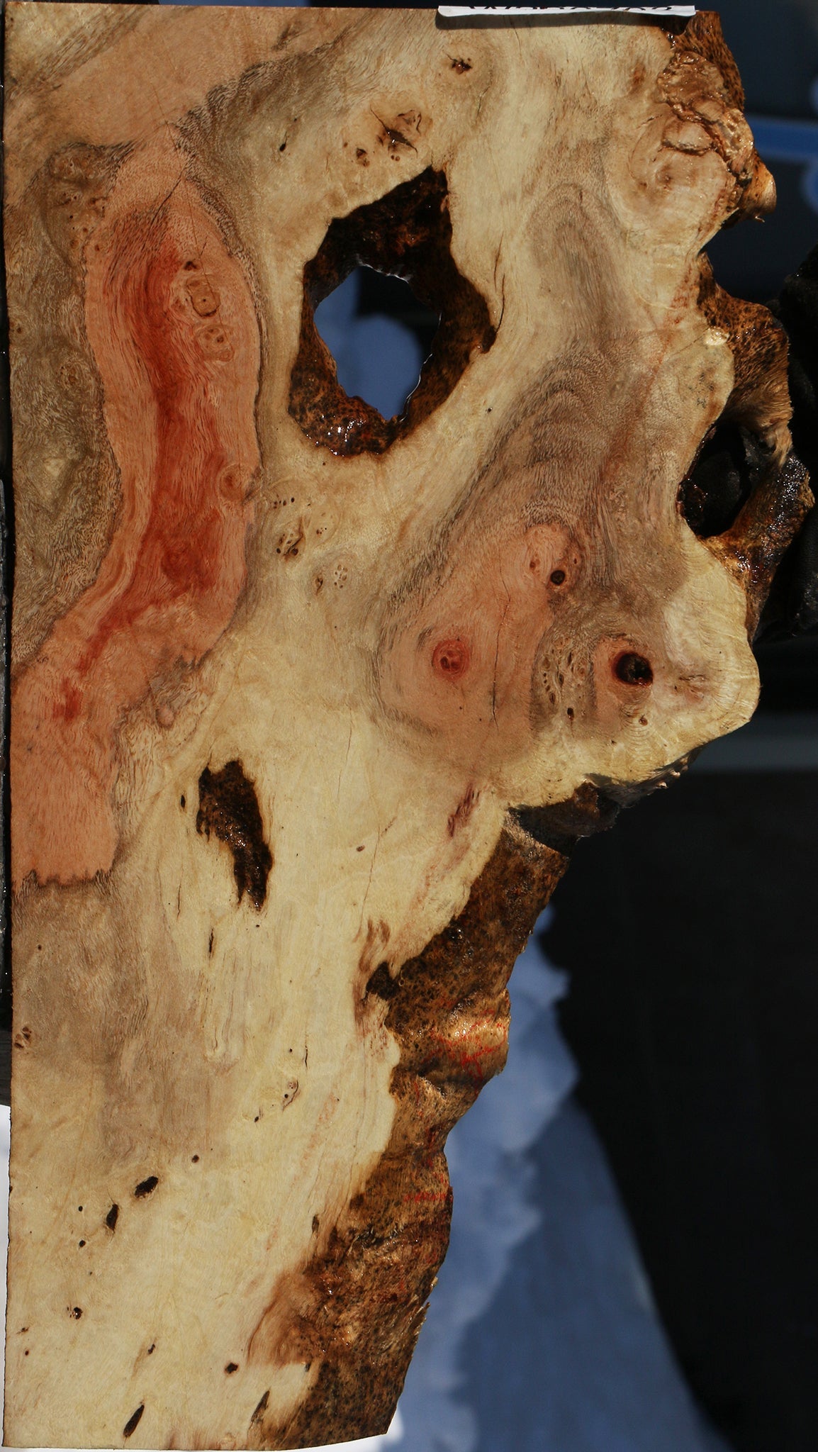 Carob Live Edge Micro Lumber