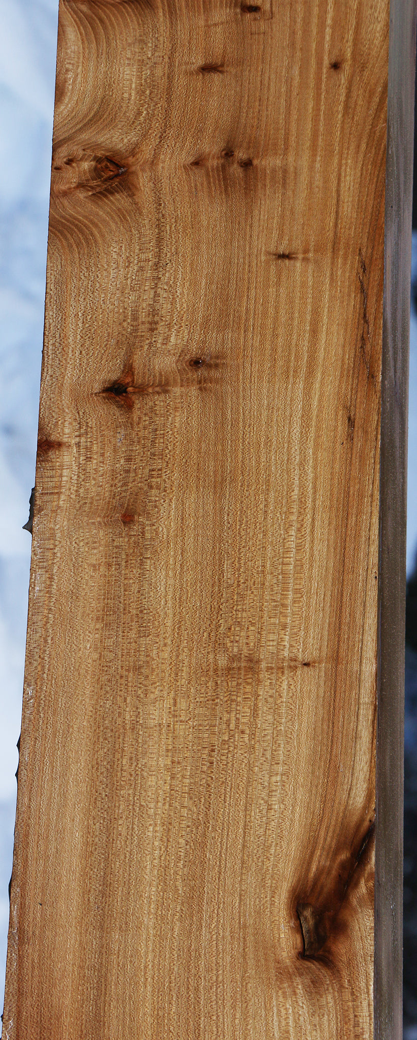 Elm Mantel