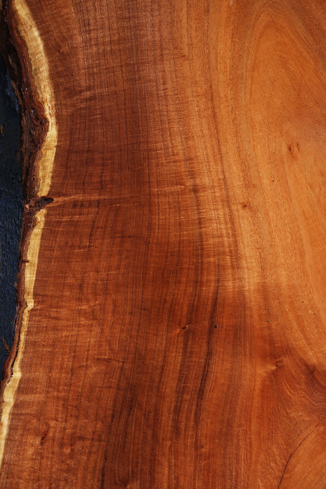 Extra Fancy Argentine Mesquite Live Edge Slab
