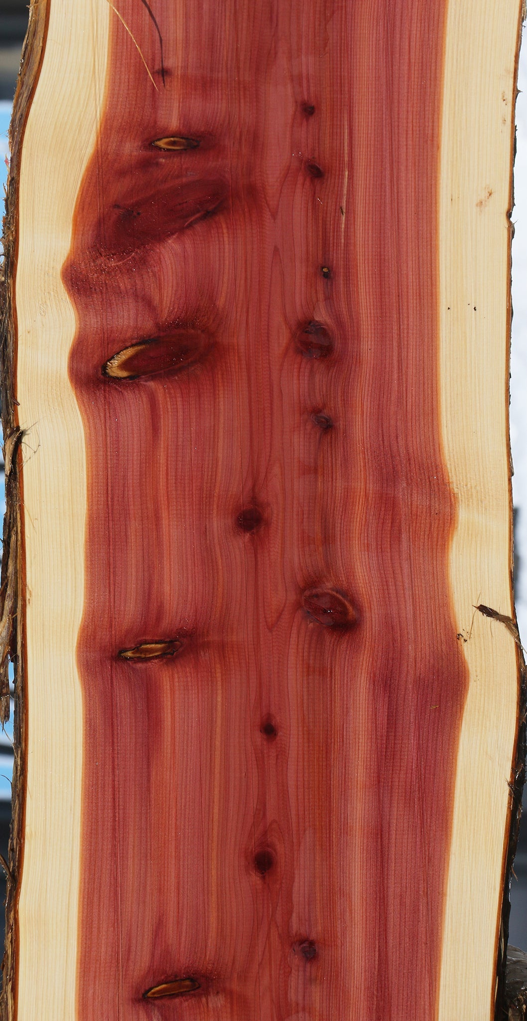 Eastern Red Cedar Live Edge Lumber