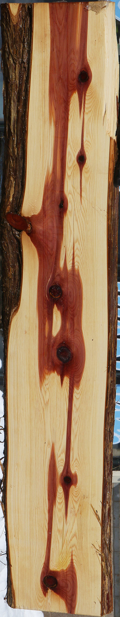 Eastern Red Cedar Live Edge Lumber