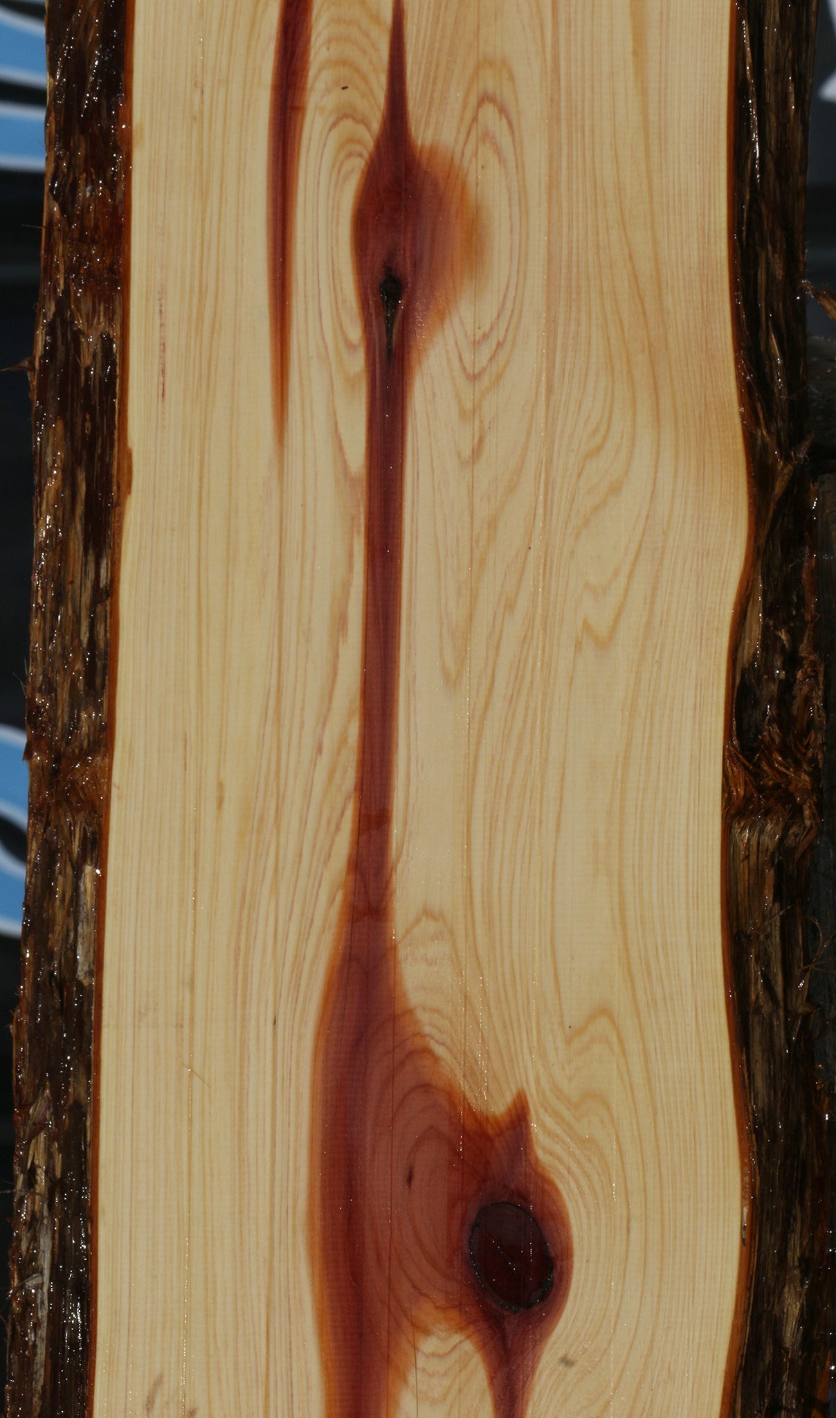 Eastern Red Cedar Live Edge Lumber