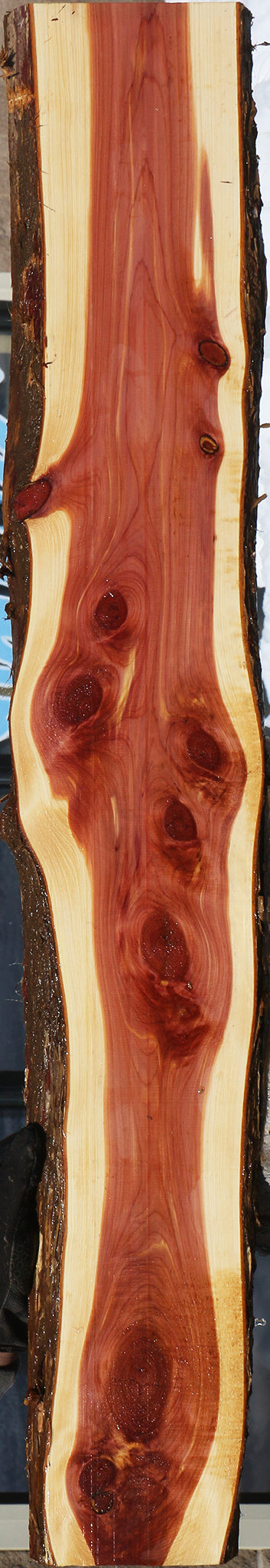 Eastern Red Cedar Live Edge Lumber