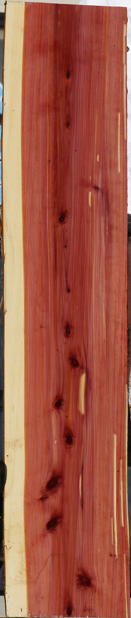 Eastern Red Cedar Live Edge Lumber