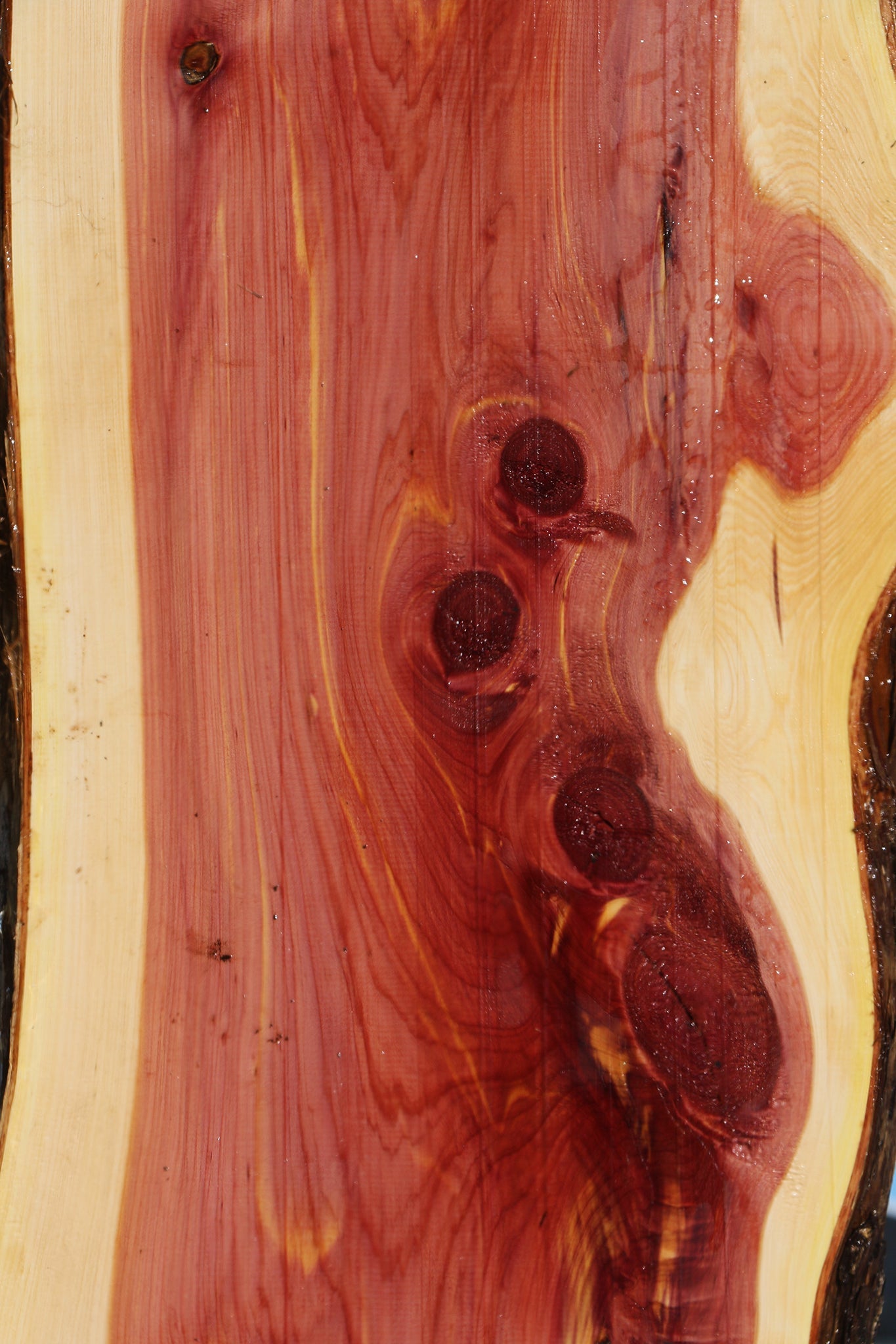 Eastern Red Cedar Live Edge Lumber