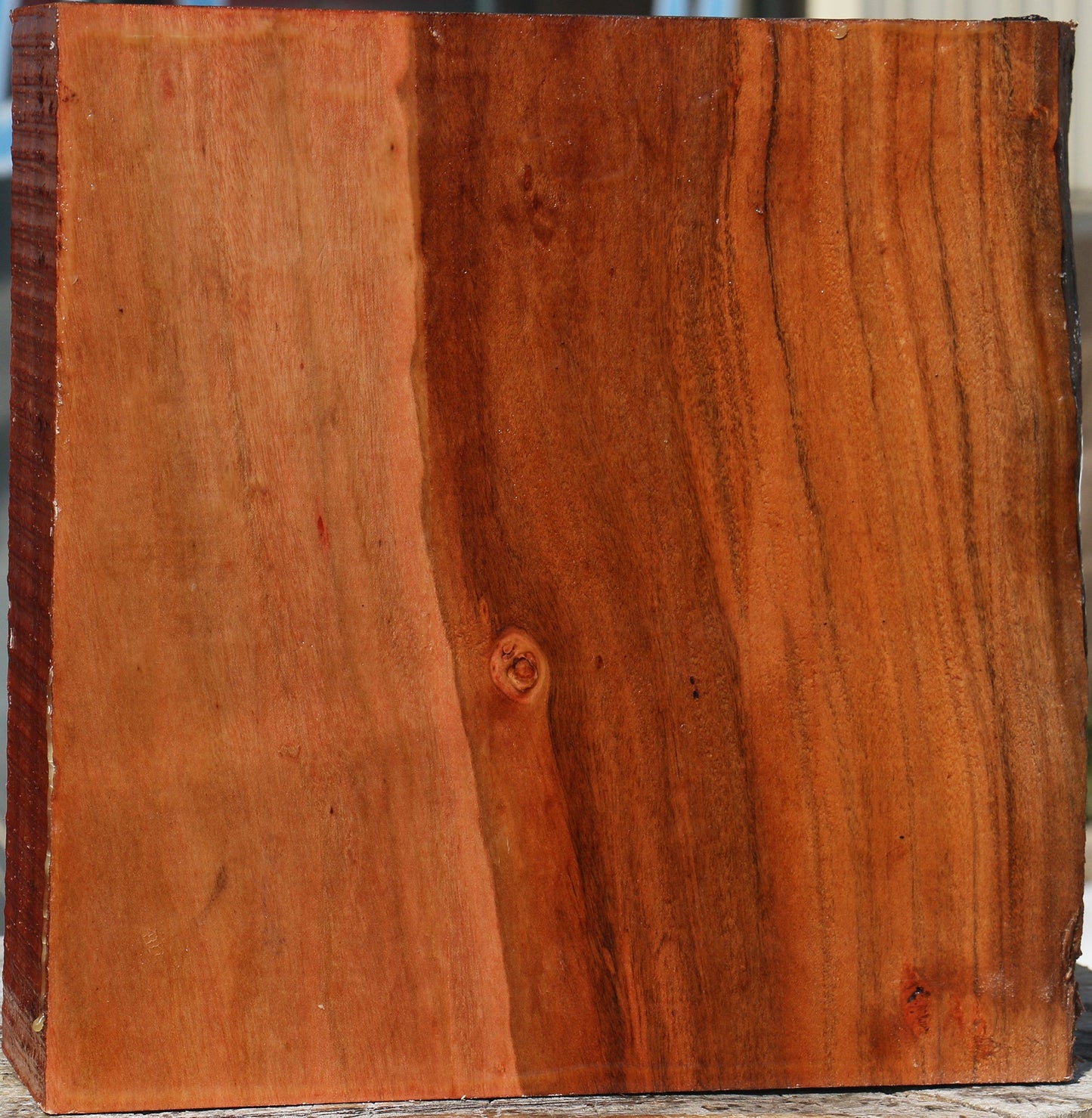 Figured Brazilian Pepperwood Bowl Blank
