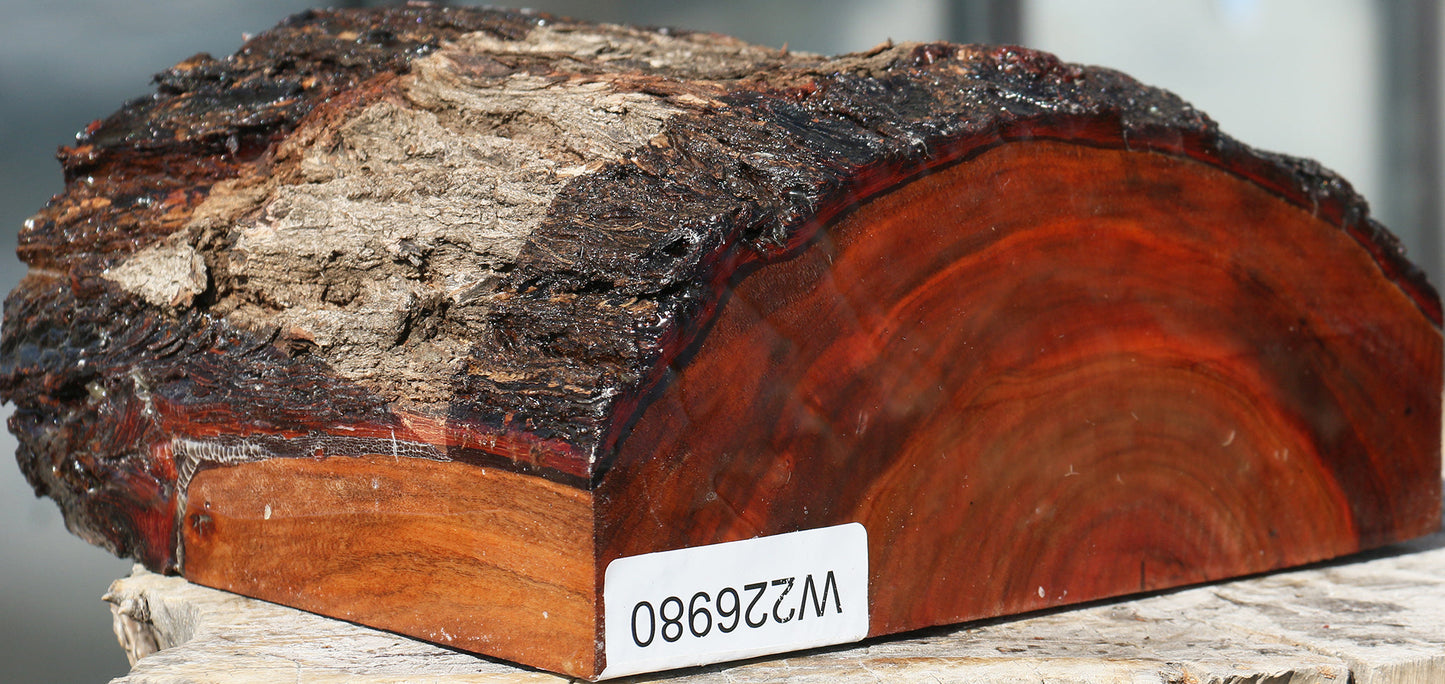 Brazilian Pepperwood Half Log