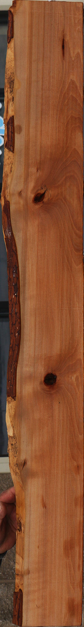 Madrone Live Edge Lumber