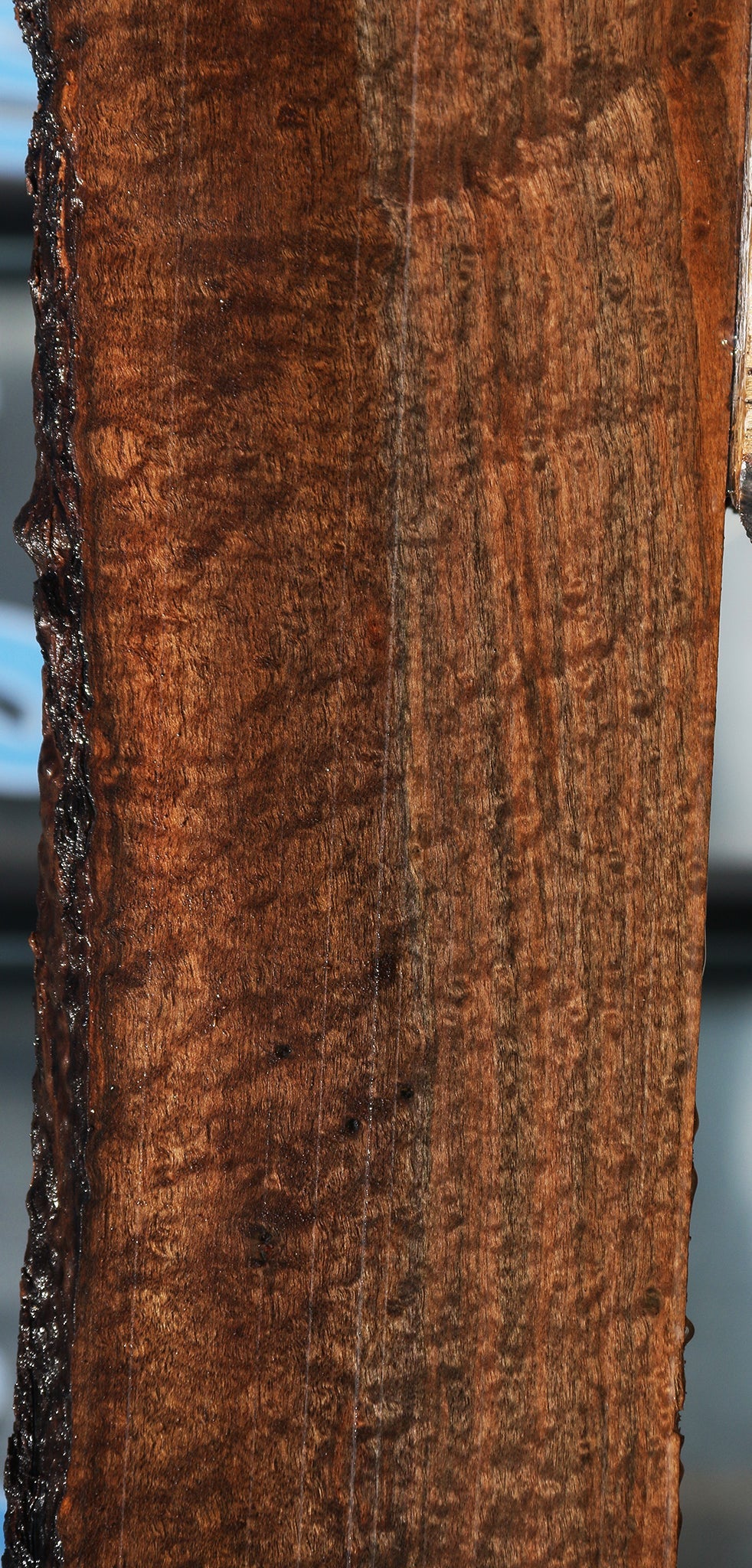 Extra Fancy Quartersawn Claro Walnut Live Edge Lumber