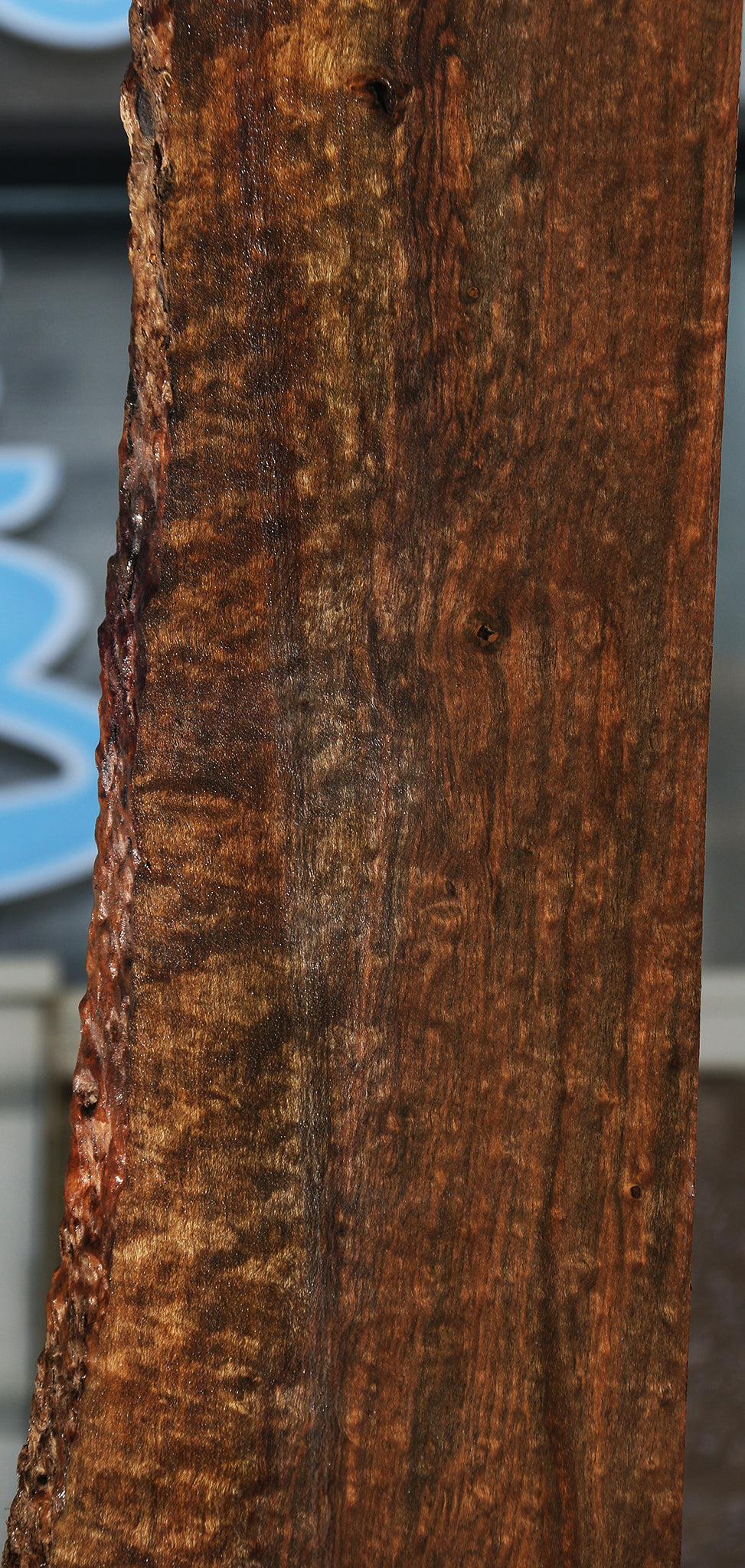 Exhibition Quartersawn Claro Walnut Live Edge Lumber