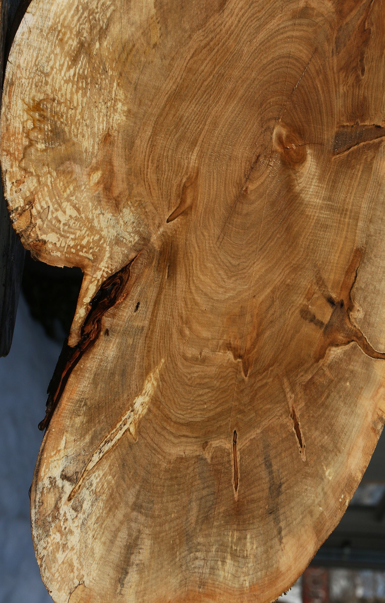 Figured Ambrosia Maple Cookie