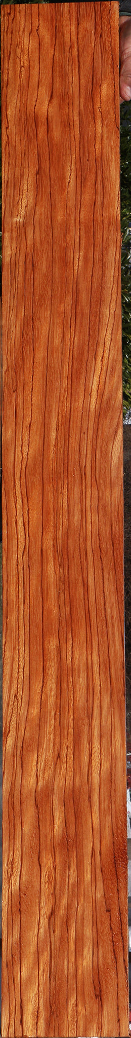 Extra Fancy Ebiara Lumber