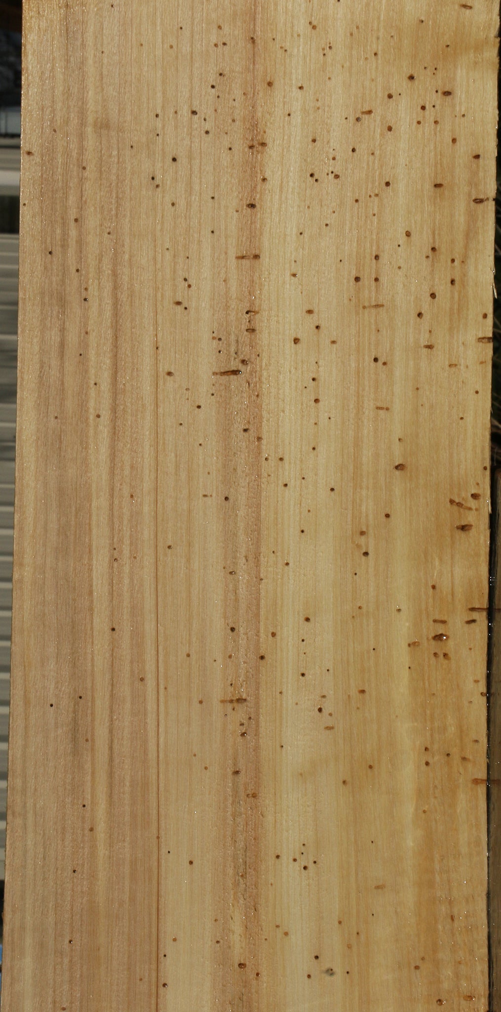 Rustic Black Cottonwood Lumber