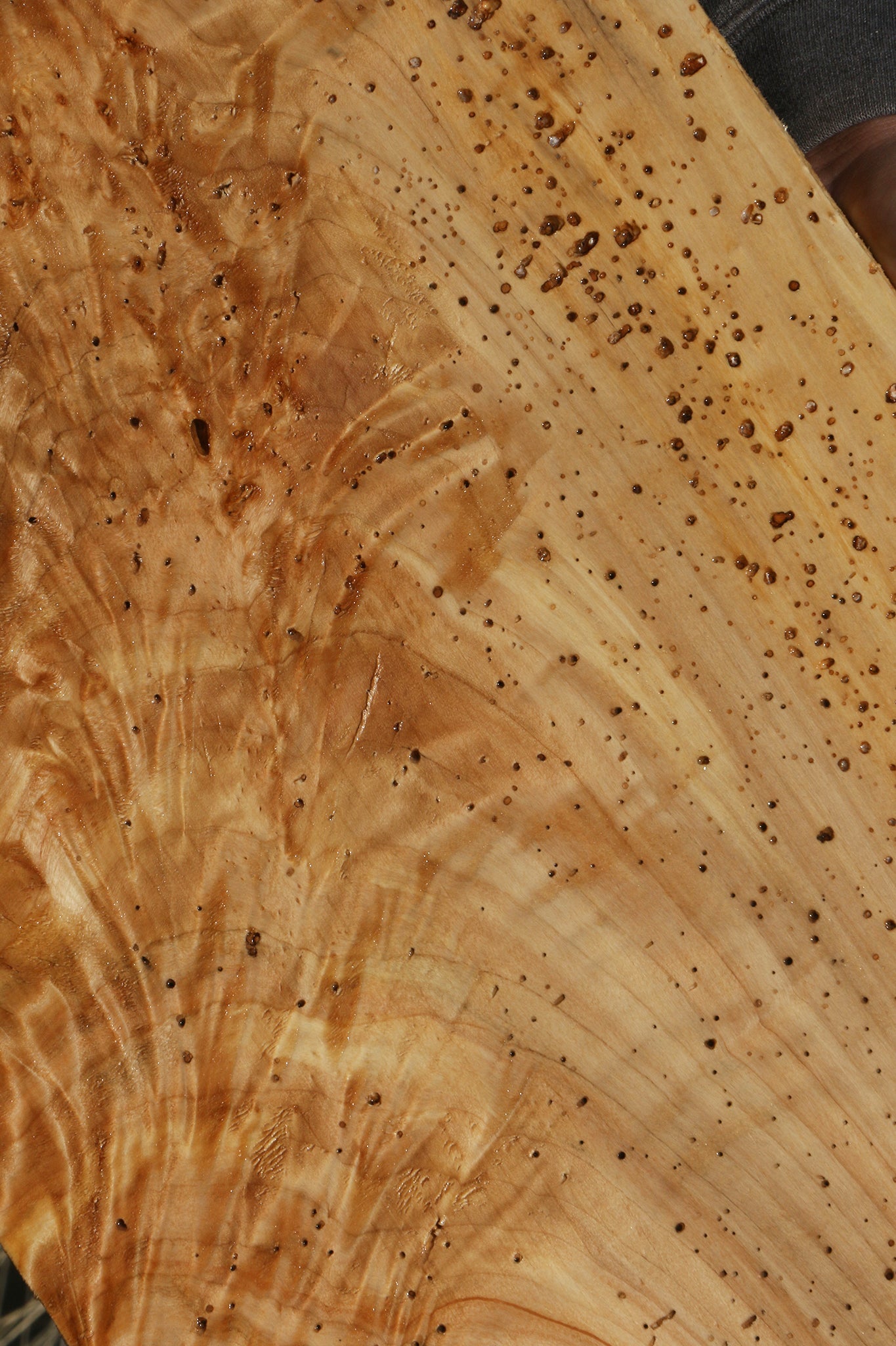 Figured Rustic Black Cottonwood Lumber