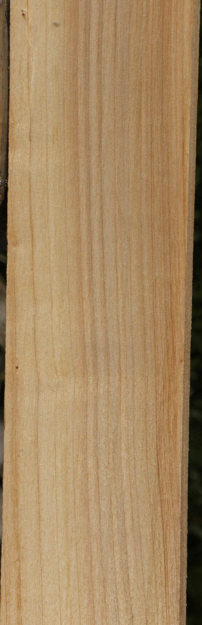 Black Cottonwood Lumber