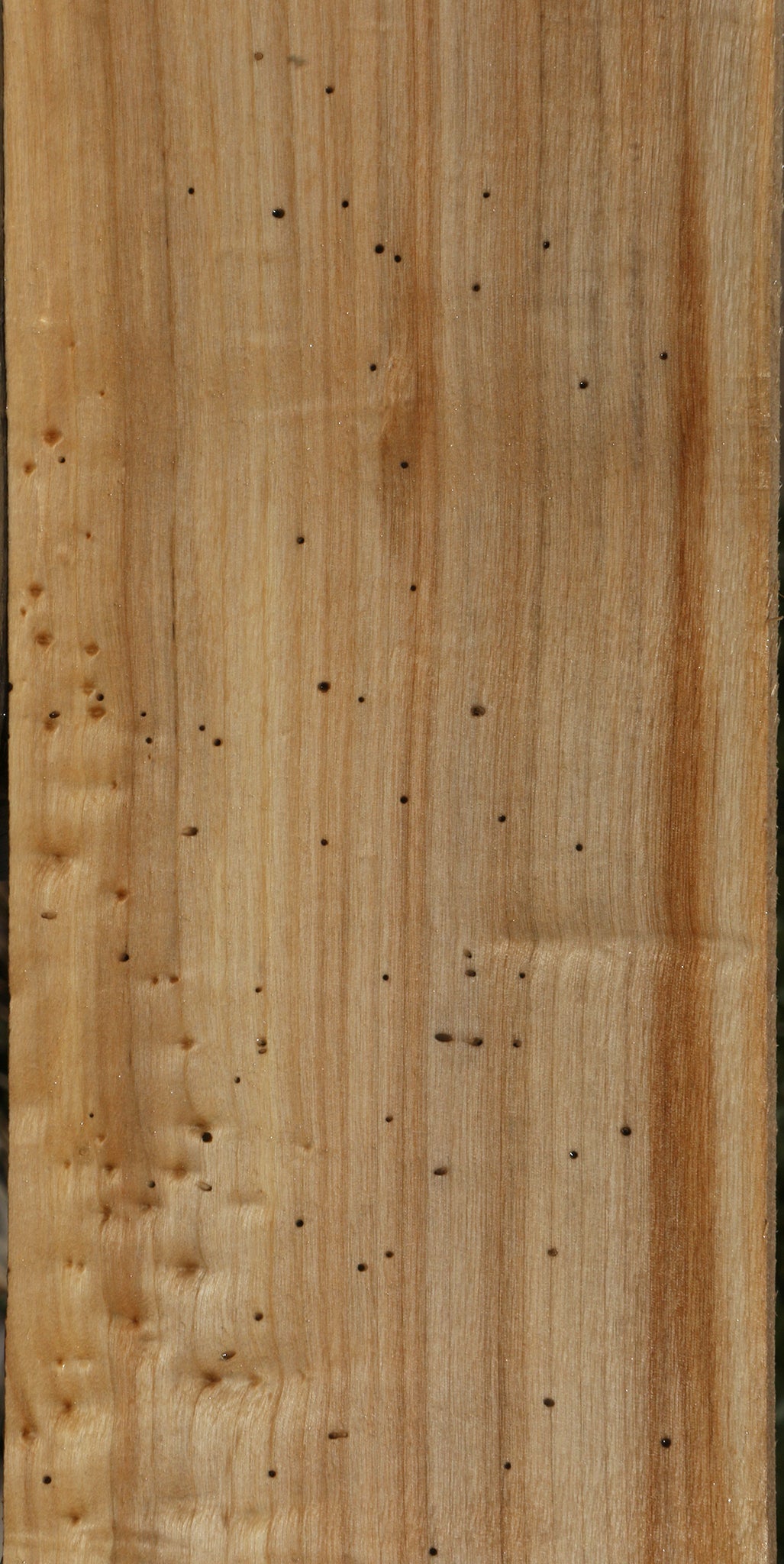 Rustic Black Cottonwood Lumber
