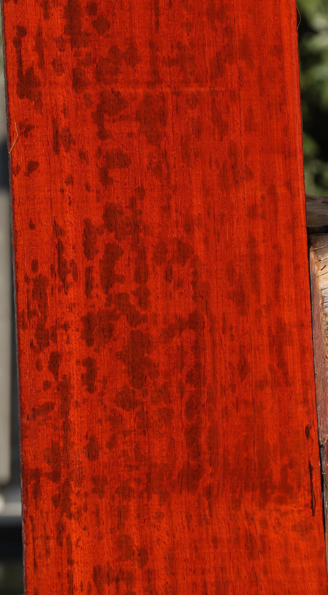 Extra Fancy Padauk Lumber