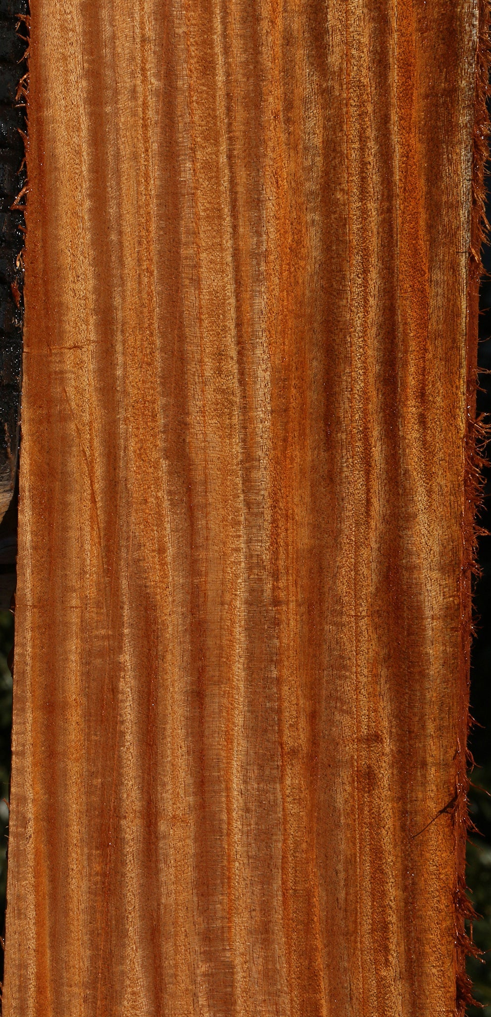 Extra Fancy Quilted African Mahogany Instrument Lumber