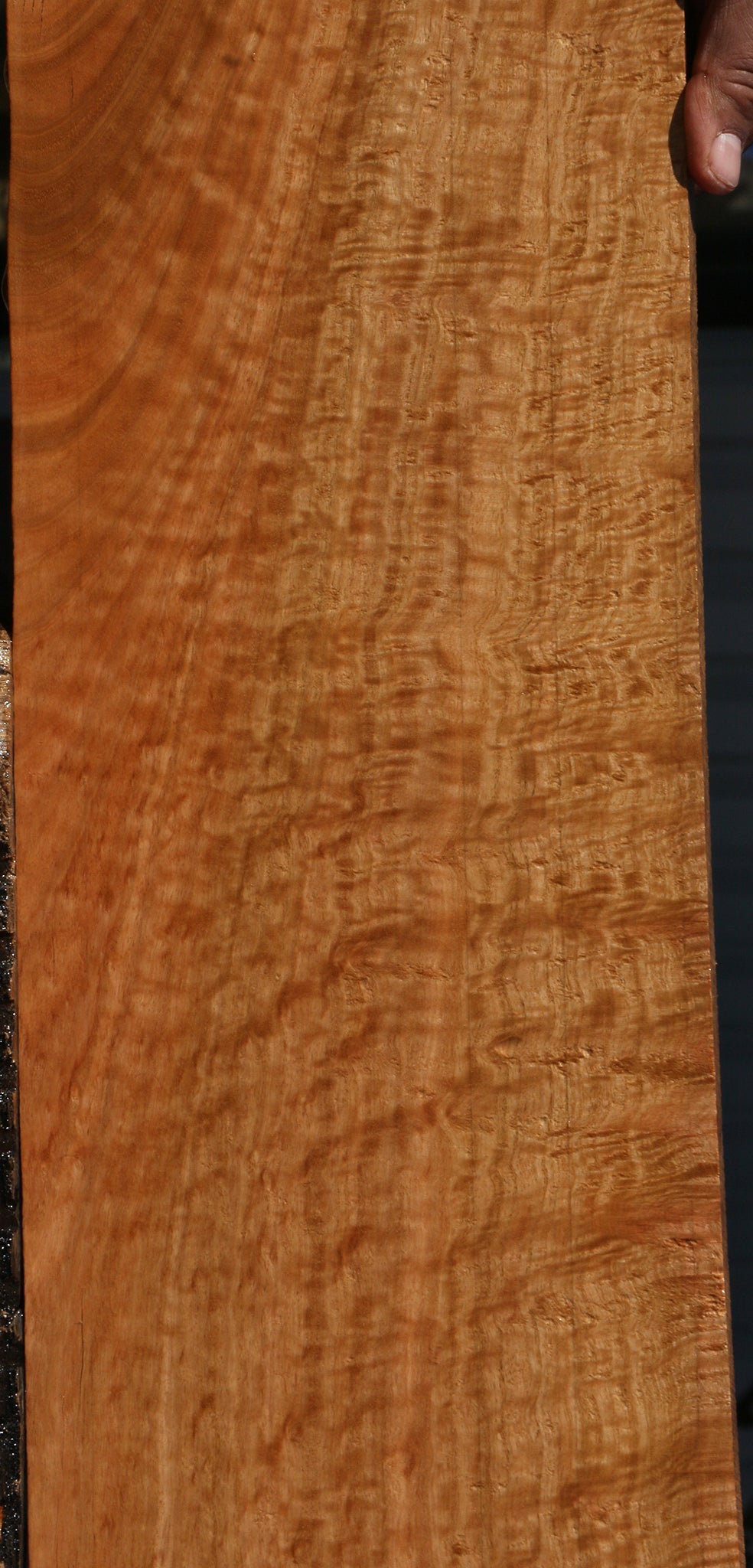 Extra Fancy Figured Eucalyptus Micro Lumber