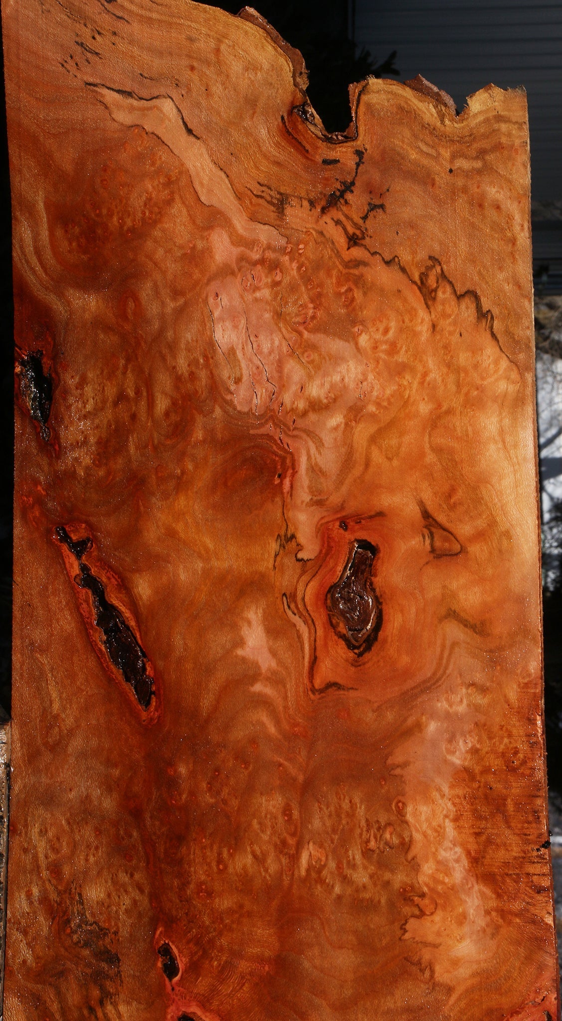 Rustic Sycamore Burl Lumber
