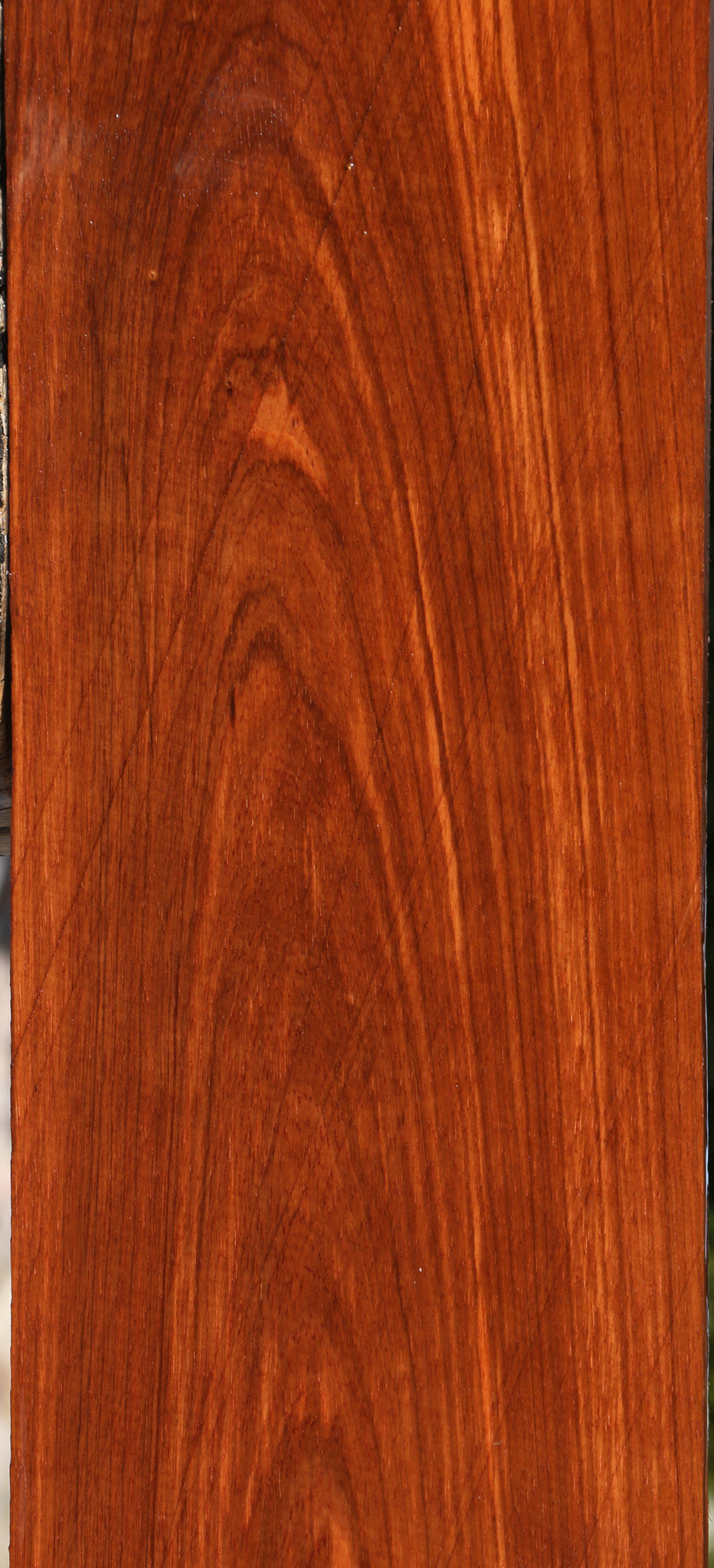 Monterillo Rosewood Micro Lumber