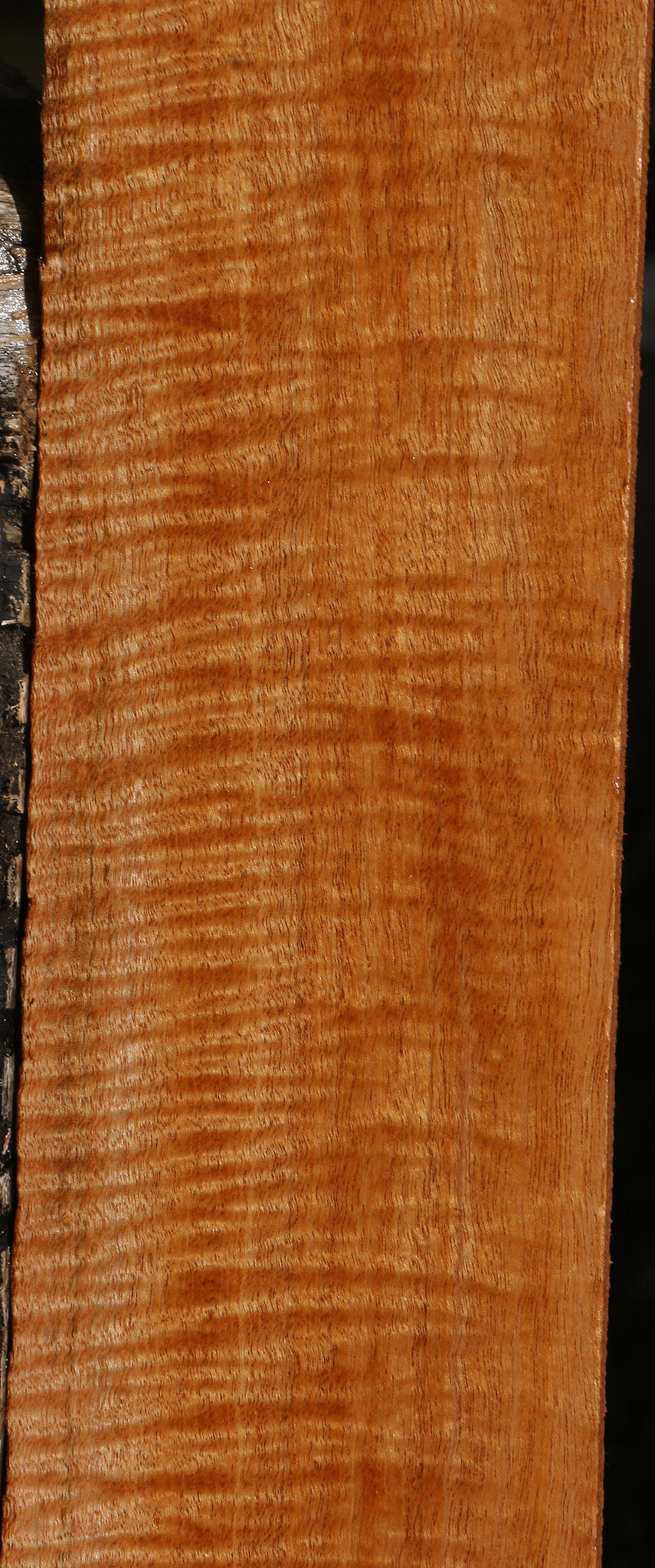 Fiddleback Honduras Mahogany Lumber