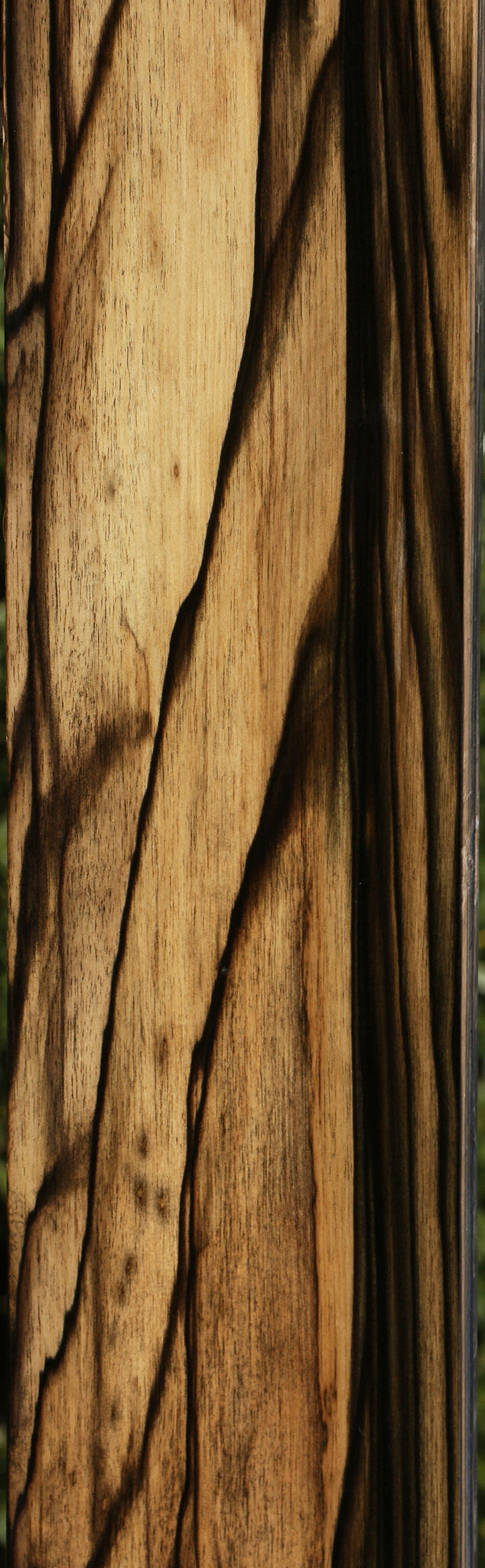 Black & White Ebony Instrument Billet