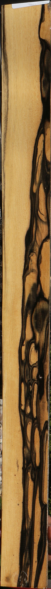 Extra Fancy Black & White Ebony Micro Lumber