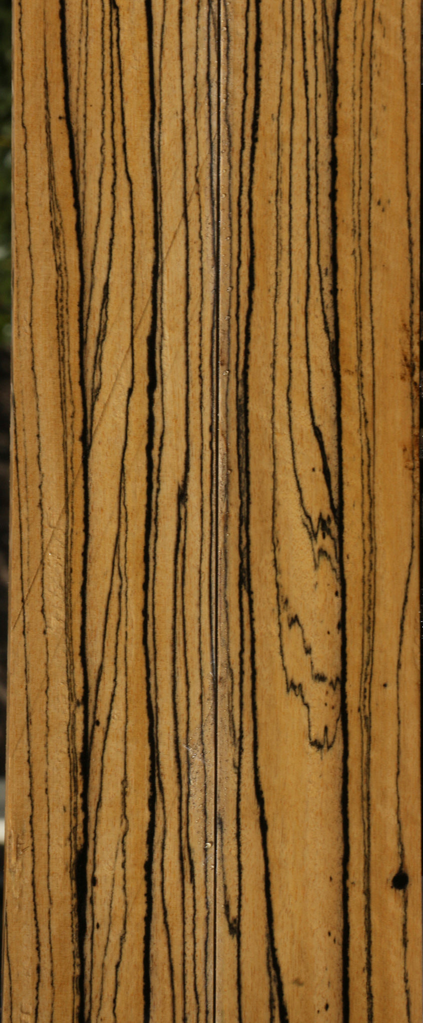 Quartersawn Black & White Ebony Bookmatched Instrument Micro Lumber