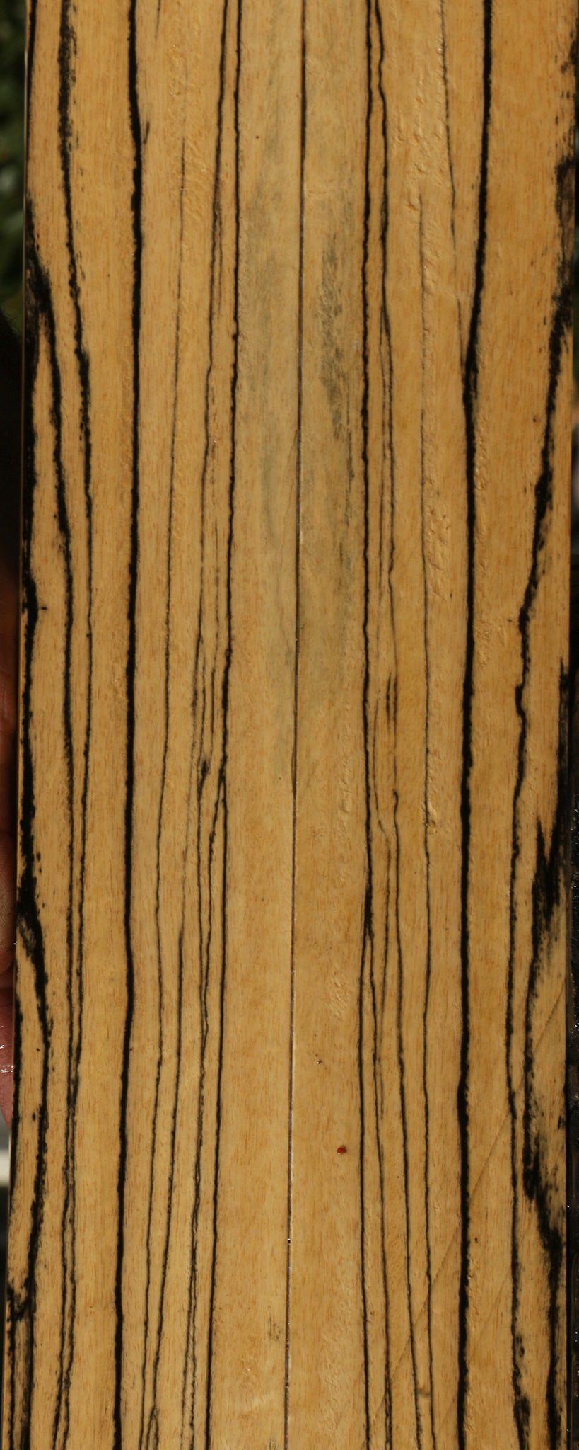 Quartersawn Black & White Ebony Bookmatched Micro Lumber