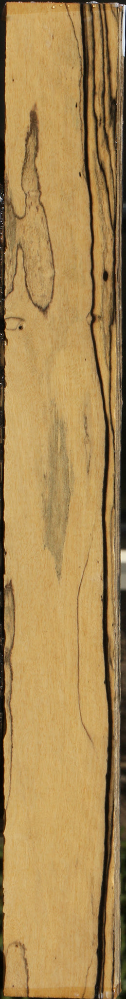 Black & White Ebony Lumber