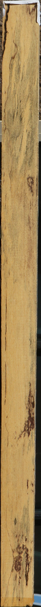 Spalted Black & White Ebony Lumber