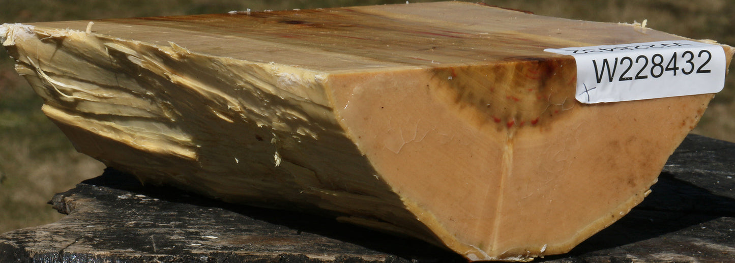 Figured Box Elder Live Edge Bowl Blank