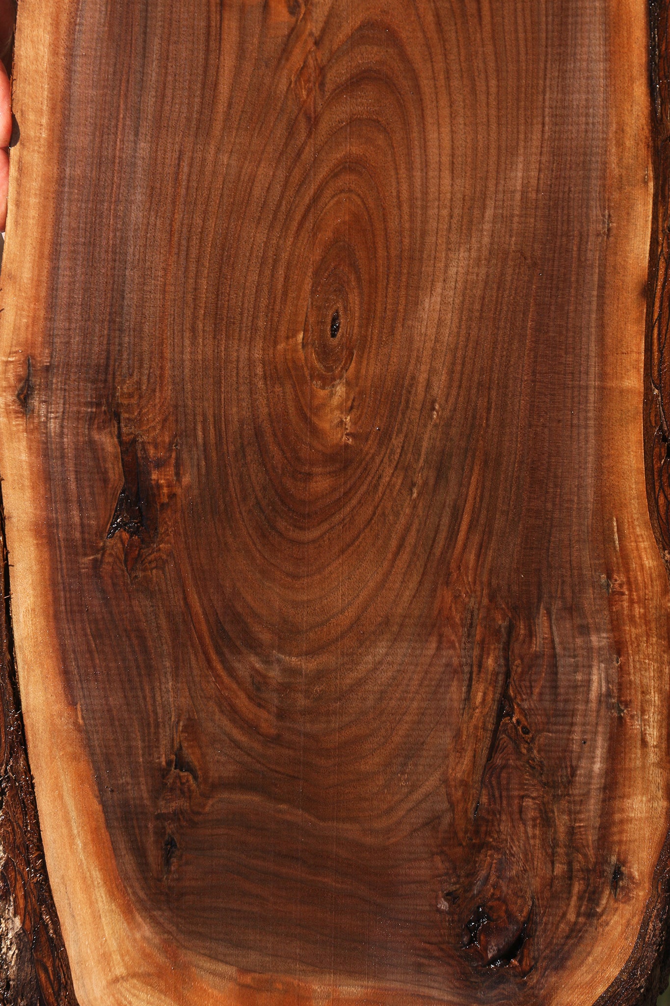 Eastern Walnut Cookie