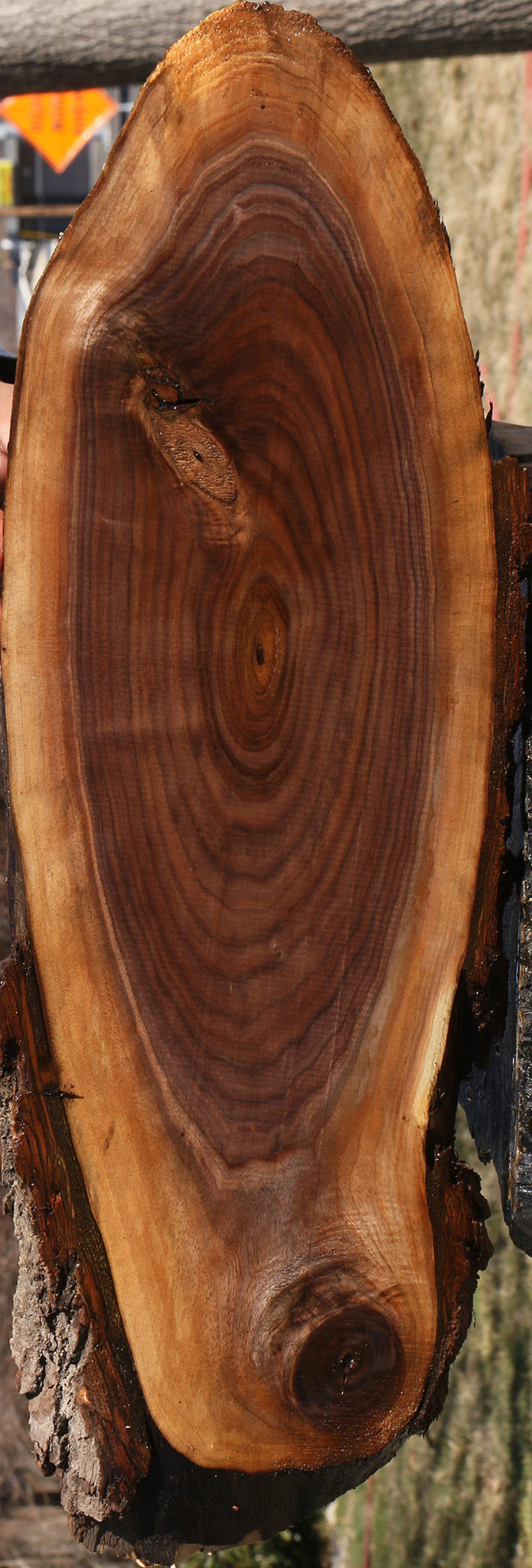 Eastern Walnut Cookie